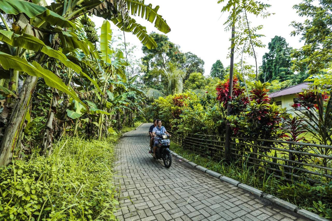 The Village Bunaken Exterior photo